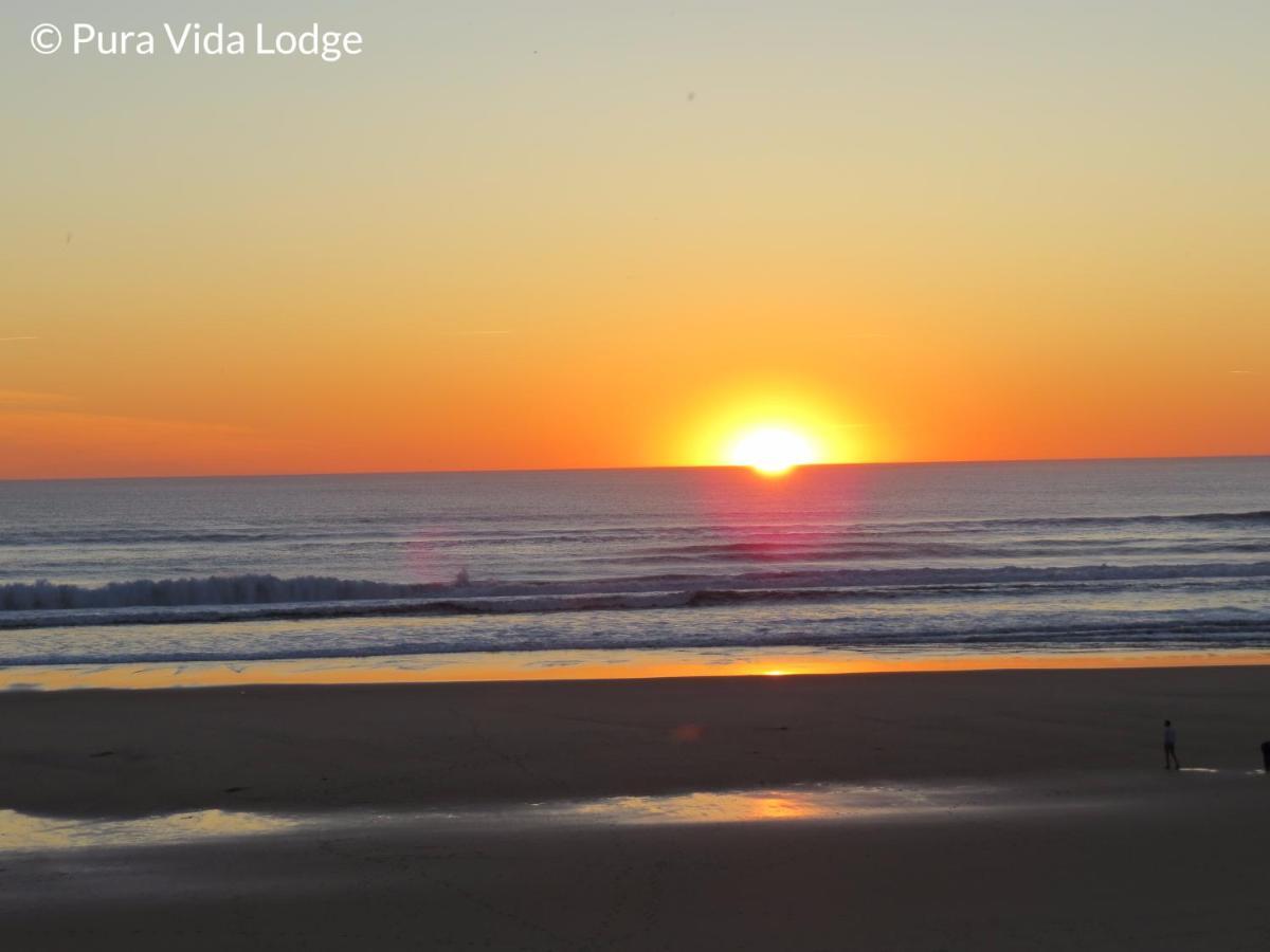 Pura Vida Lodge 米尼赞海滩 外观 照片
